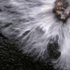 Mycelium: zwammen en schimmels als bouwmateriaal | Ecobouwers.be